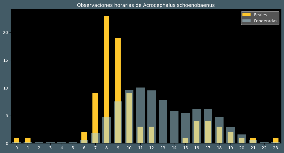 Observations by Hour