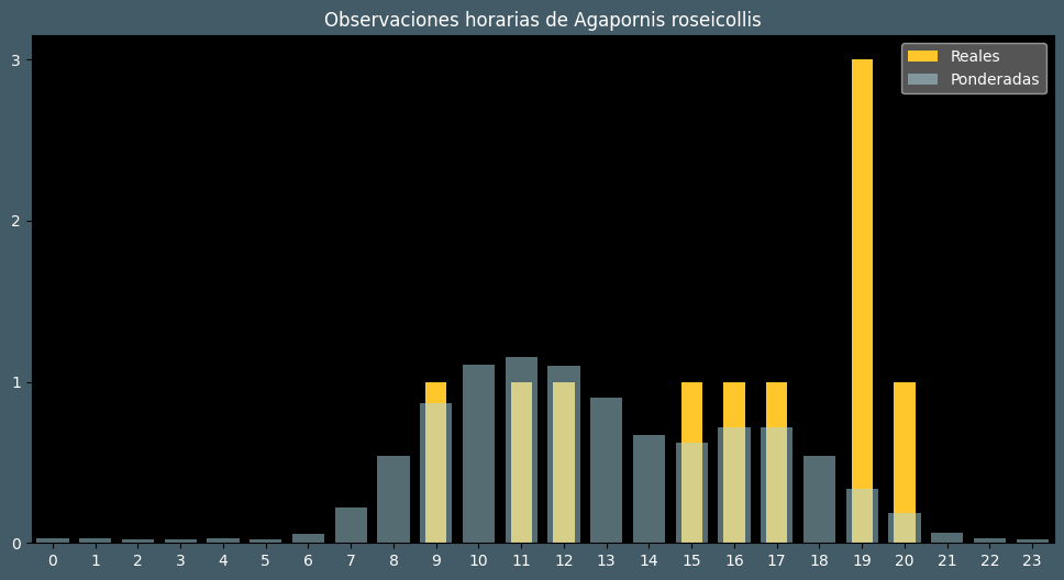 Observations by Hour