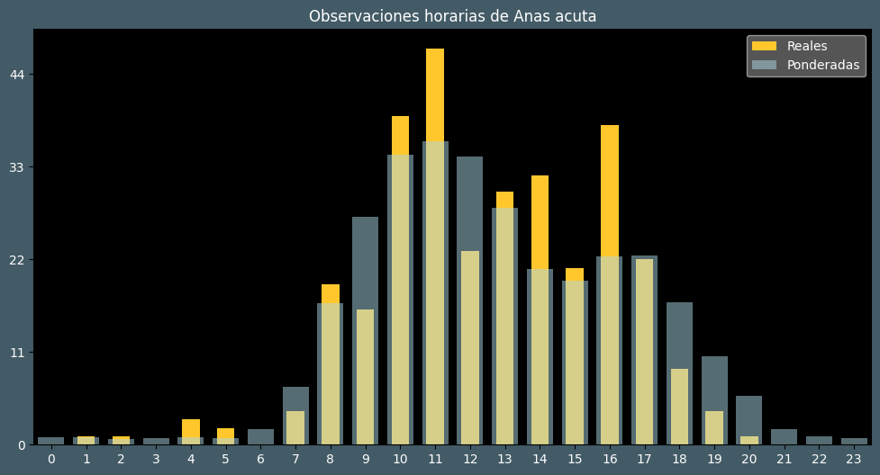 Observations by Hour