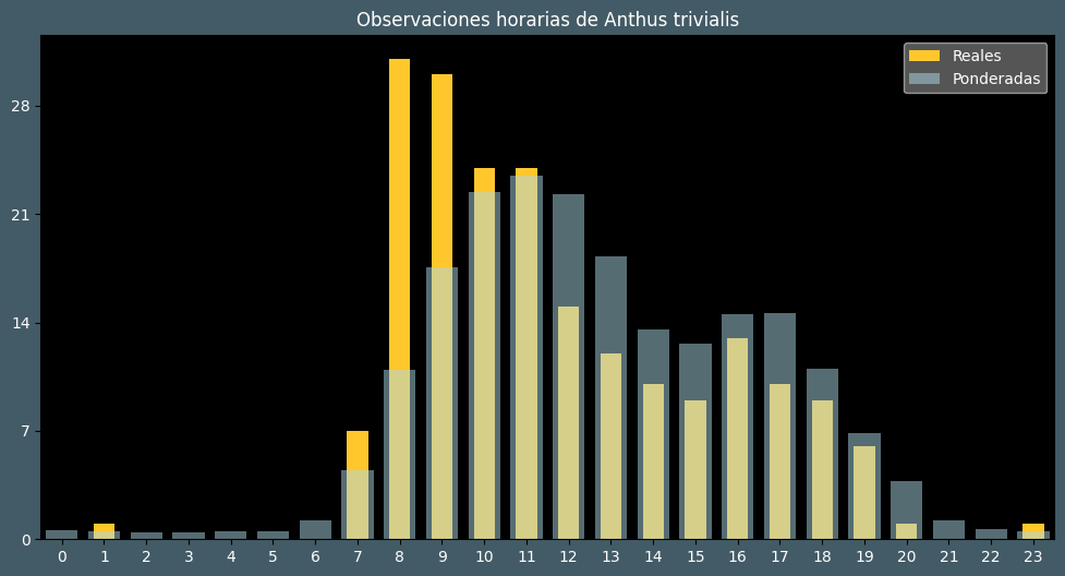 Observations by Hour