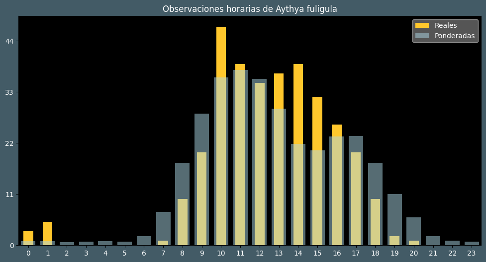 Observations by Hour