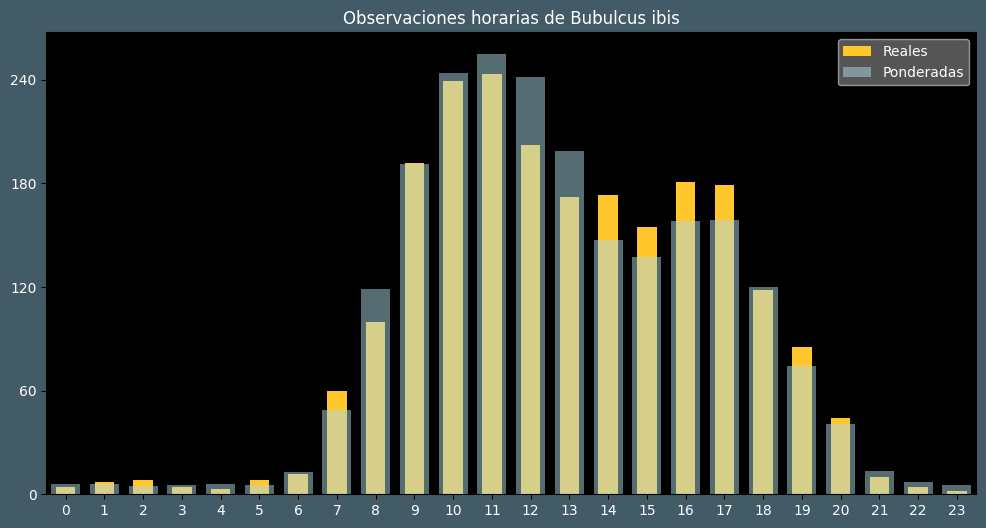 Observations by Hour