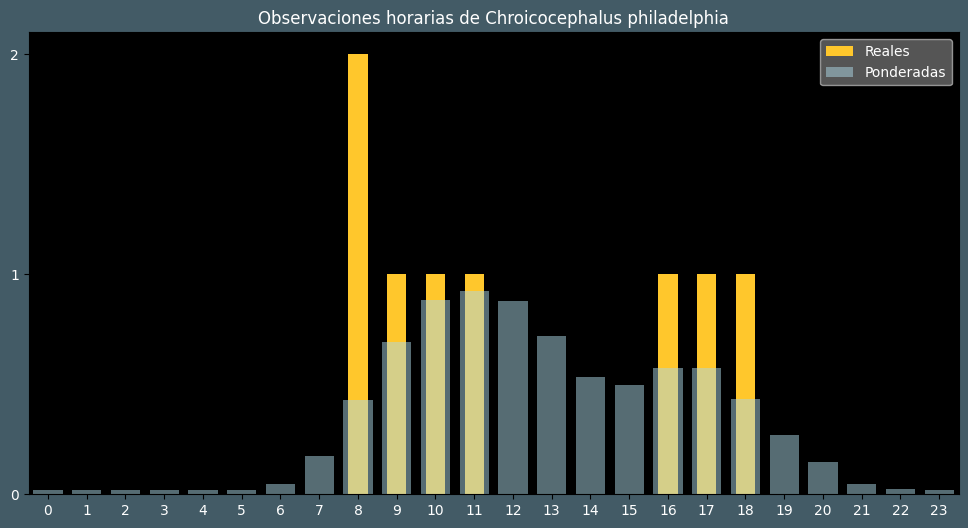 Observations by Hour