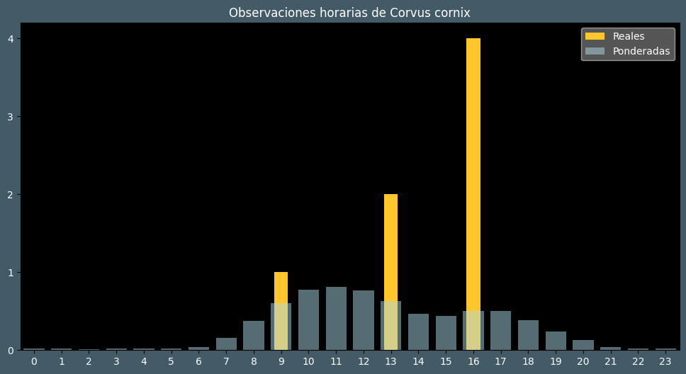 Observations by Hour