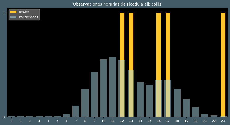 Observations by Hour