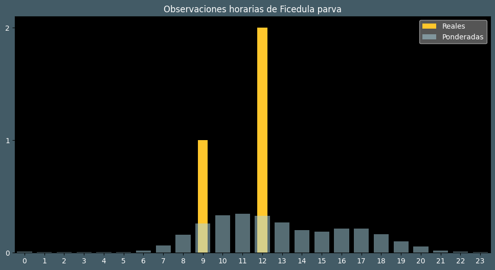 Observations by Hour