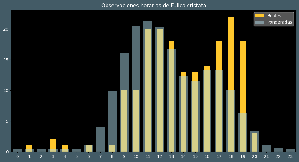 Observations by Hour