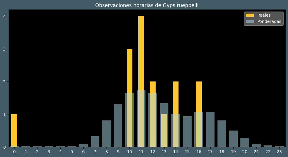 Observations by Hour