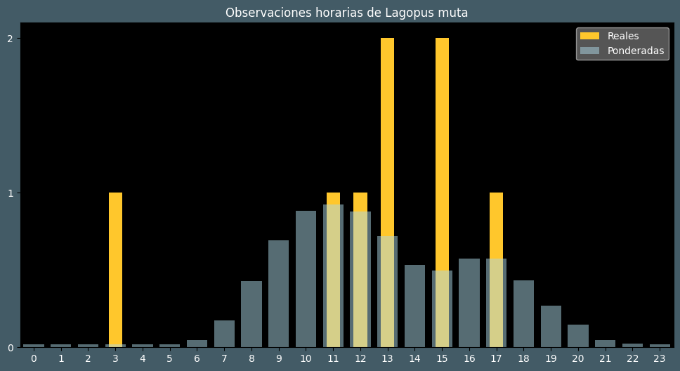 Observations by Hour