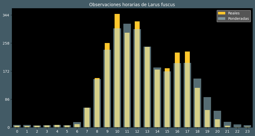 Observations by Hour