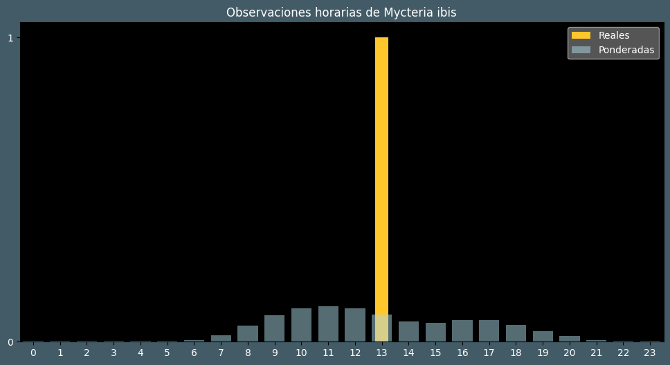 Observations by Hour