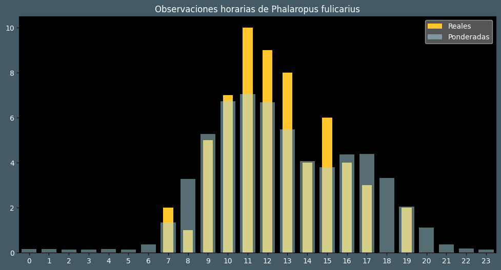 Observations by Hour