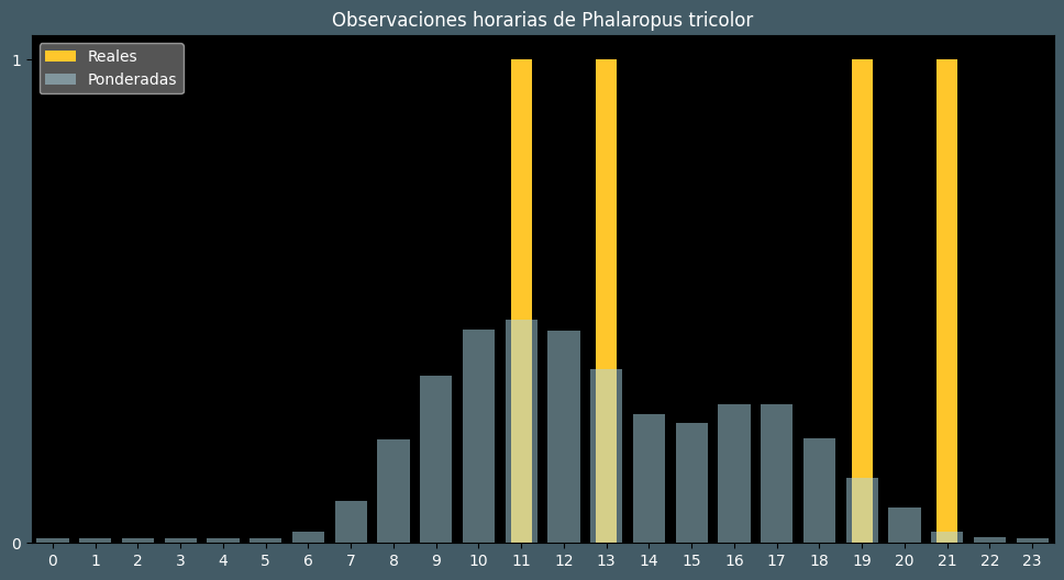 Observations by Hour