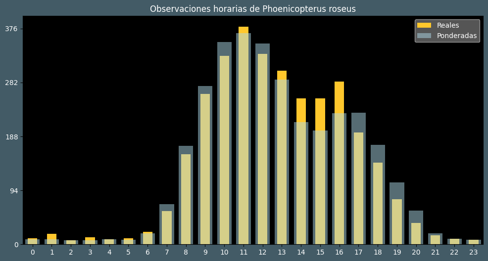 Observations by Hour