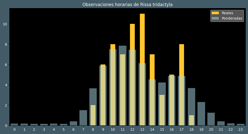 Observations by Hour