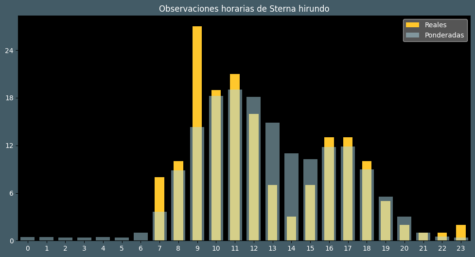 Observations by Hour