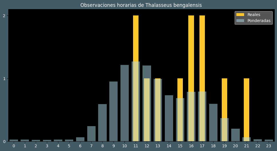 Observations by Hour