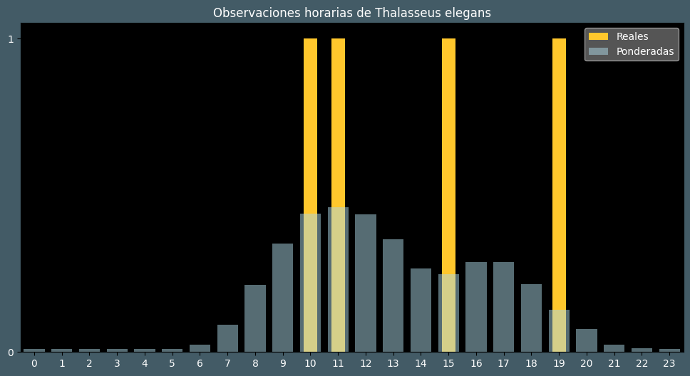 Observations by Hour