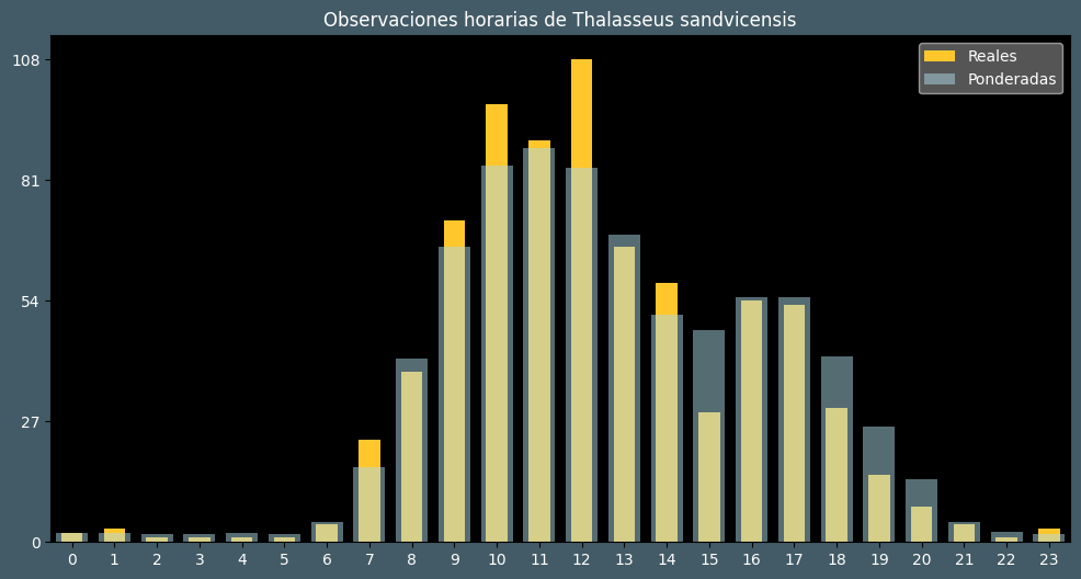 Observations by Hour