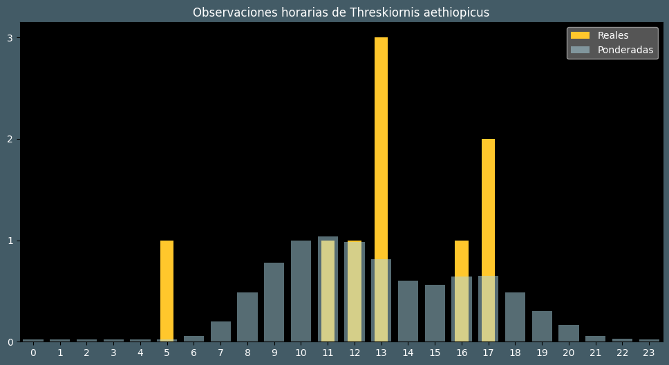 Observations by Hour