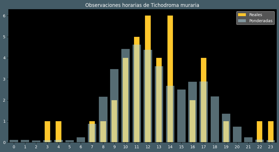 Observations by Hour