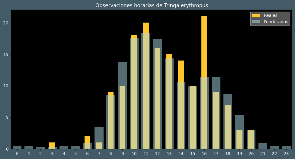 Observations by Hour