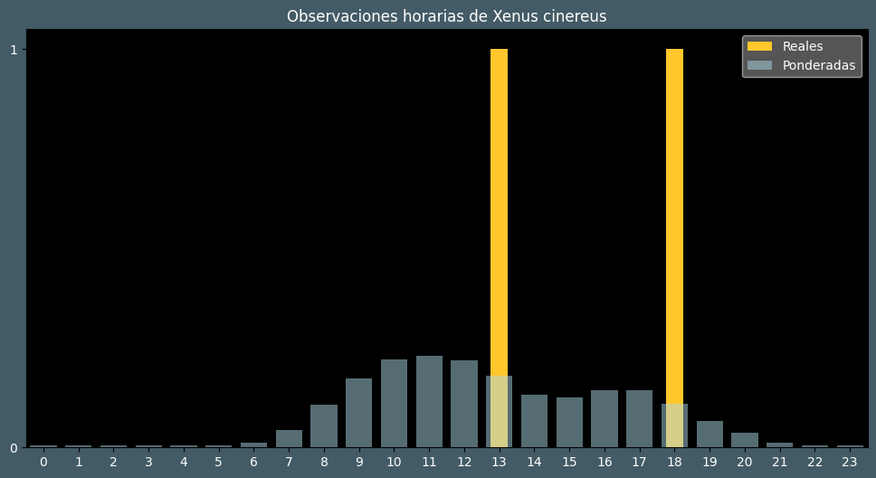 Observations by Hour