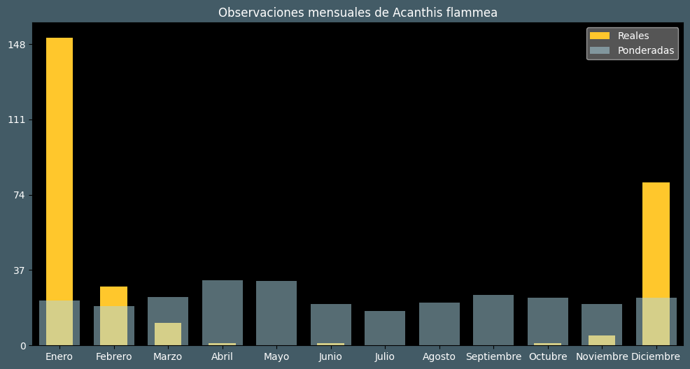 Observations by Month