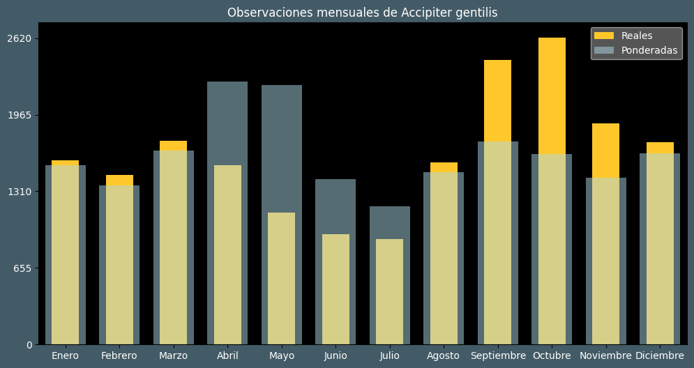 Observations by Month