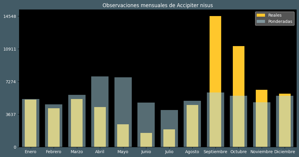 Observations by Month