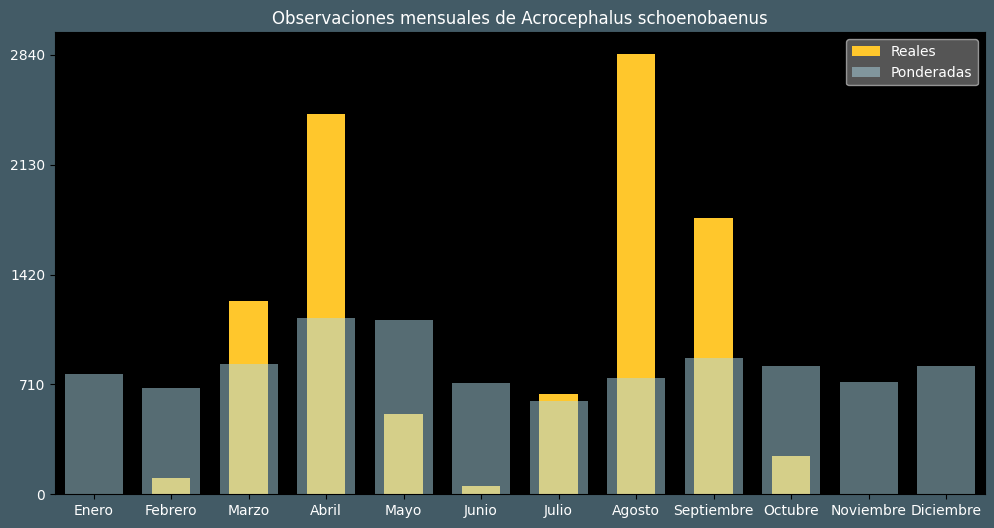 Observations by Month