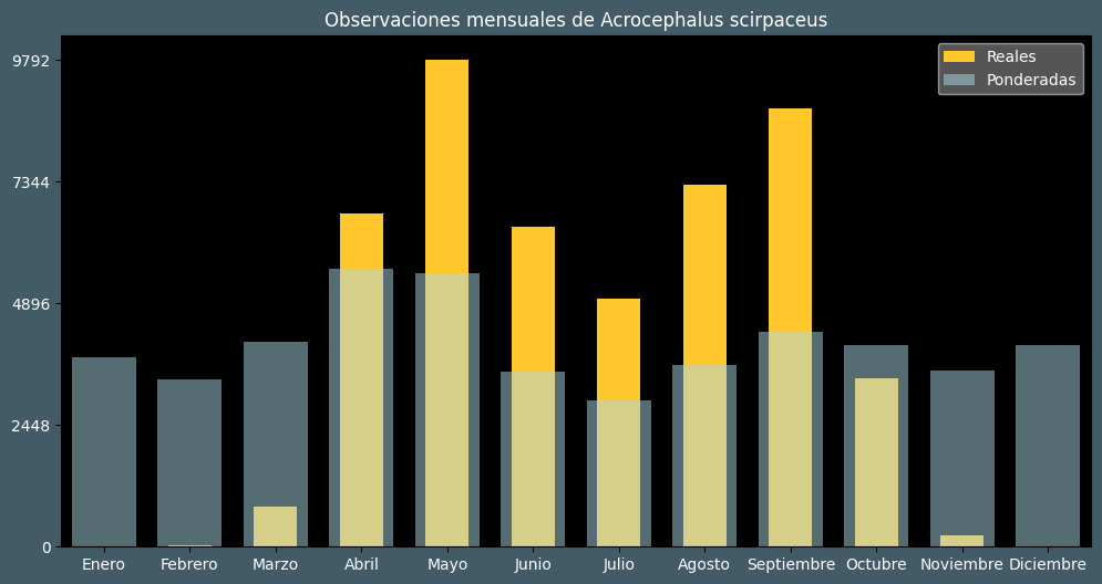 Observations by Month