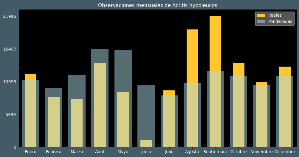 Observations by Month