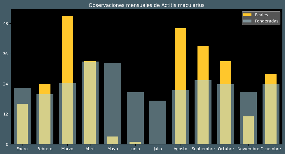 Observations by Month