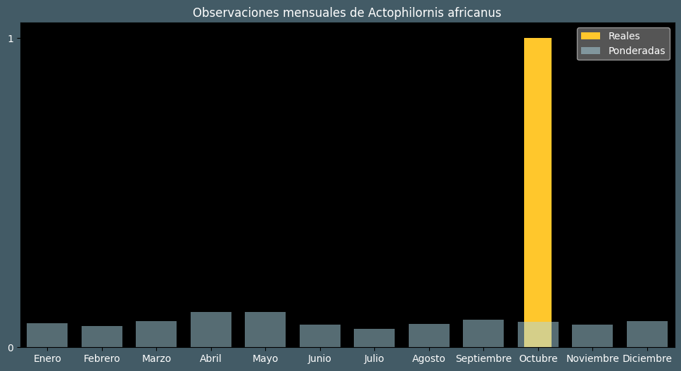 Observations by Month