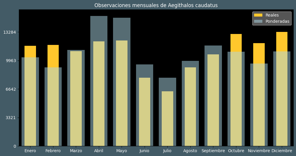 Observations by Month