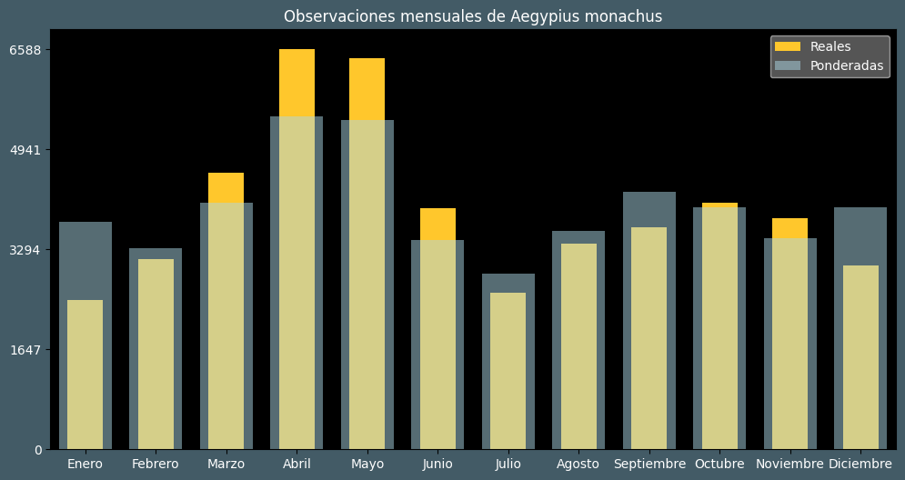 Observations by Month