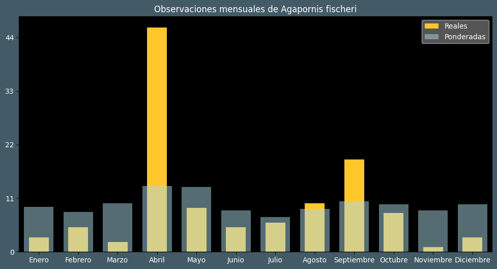 Observations by Month