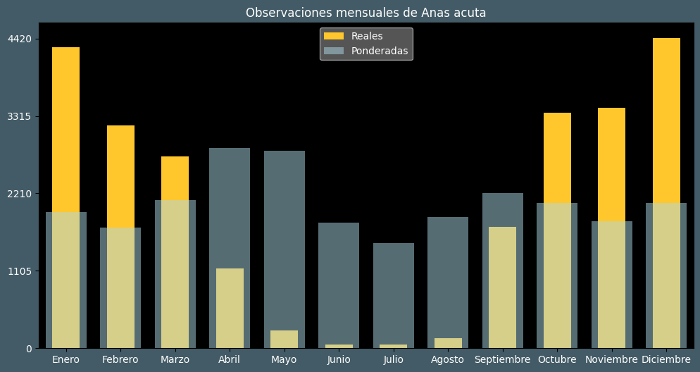 Observations by Month