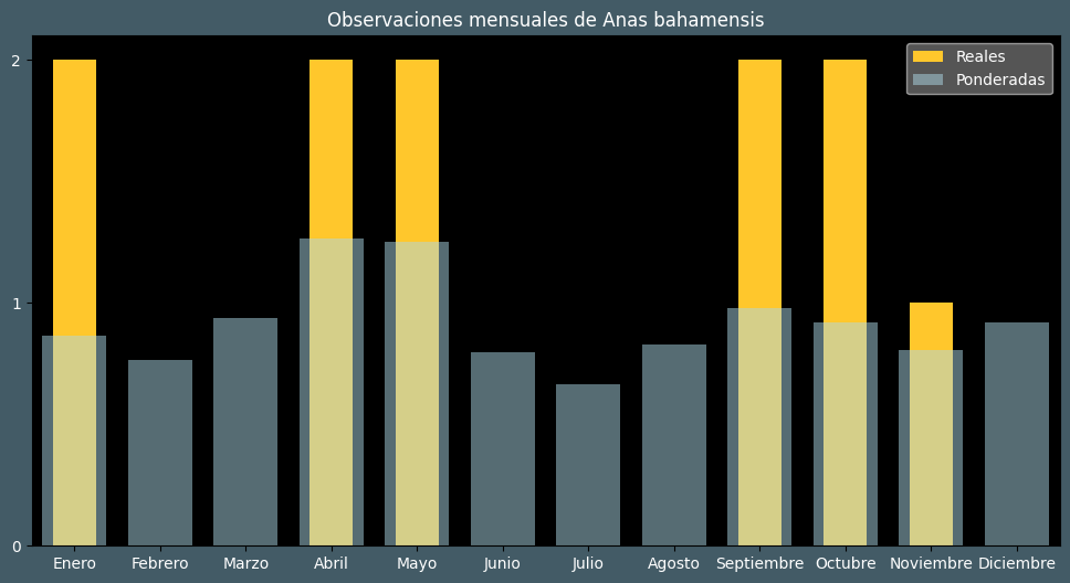 Observations by Month