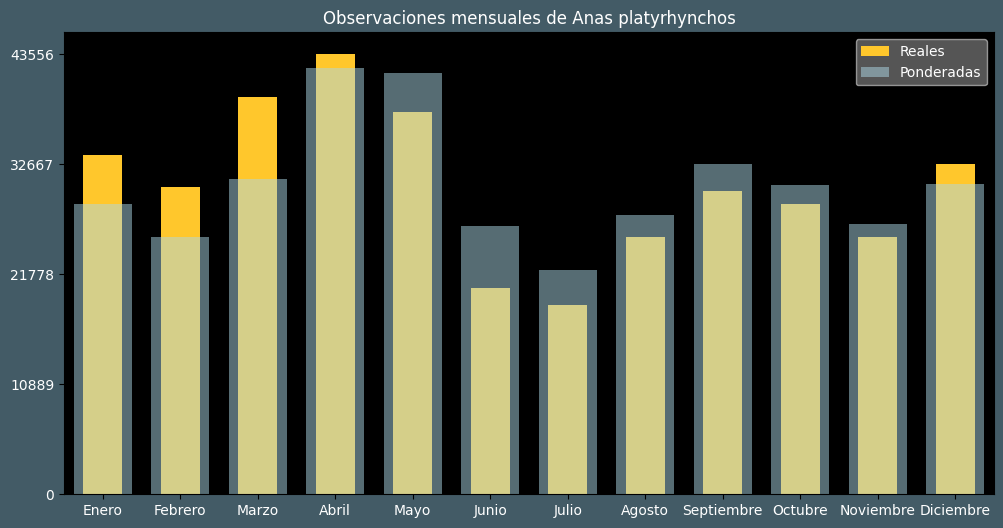 Observations by Month