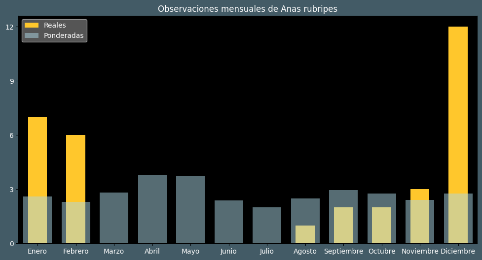 Observations by Month