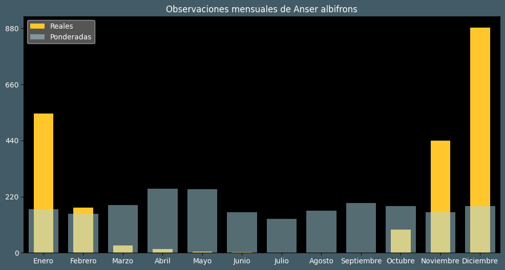 Observations by Month