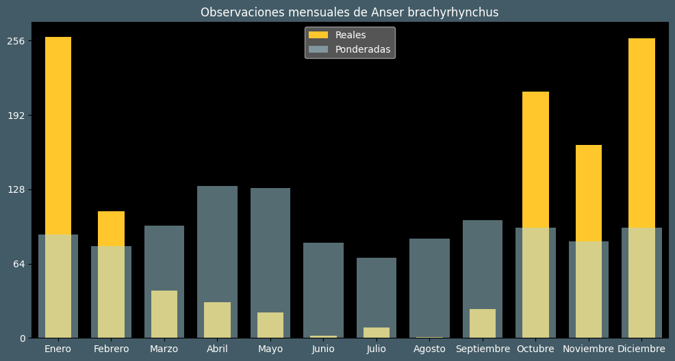 Observations by Month