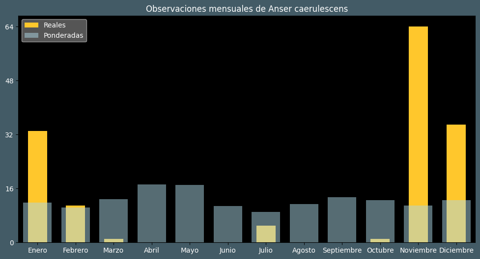 Observations by Month