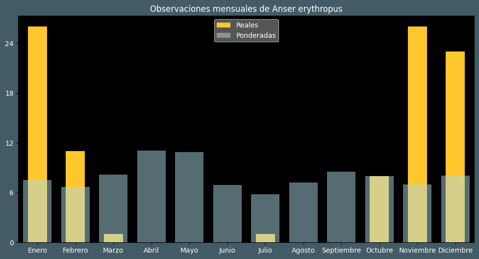 Observations by Month