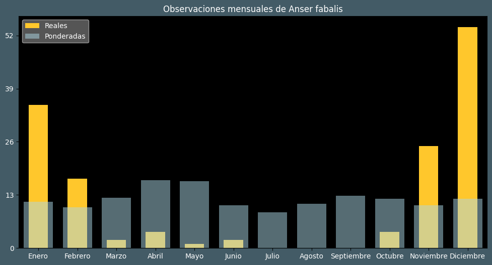 Observations by Month