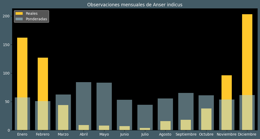 Observations by Month