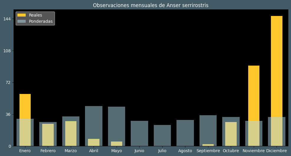 Observations by Month