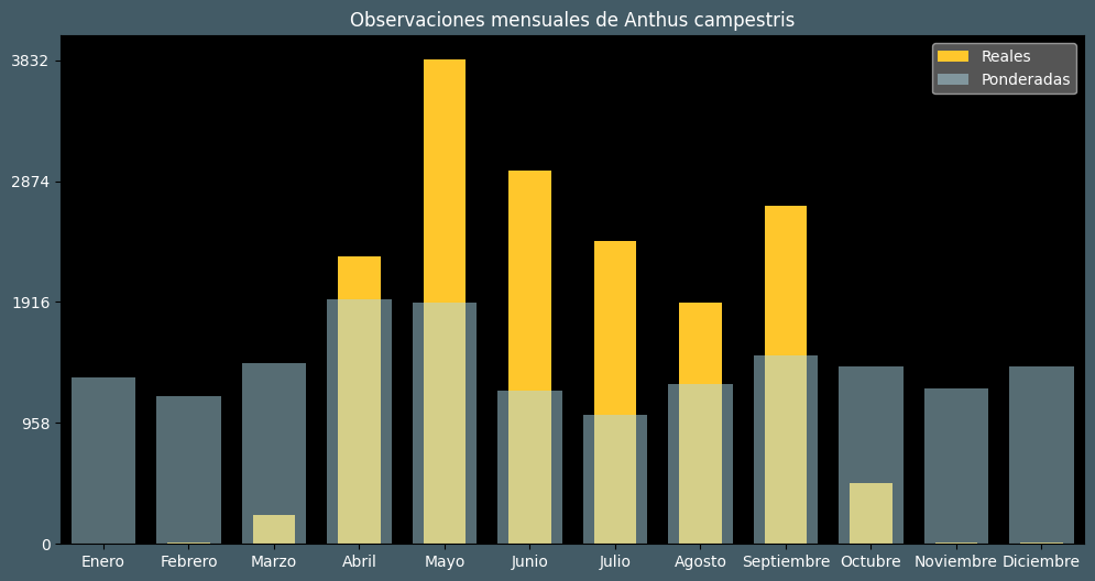 Observations by Month